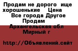 Продам не дорого ,ище хорошенькие  › Цена ­ 100 - Все города Другое » Продам   . Архангельская обл.,Мирный г.